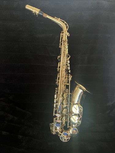 Selmer paris super - selmer, action