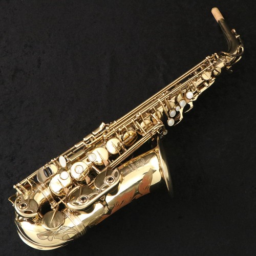 Selmer alto mark vii - vii,