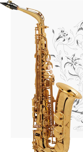 Selmer super action serie - selmer,