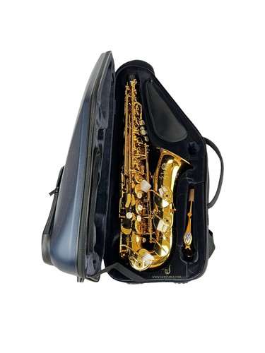 Selmer paris supreme 92dl gold - 92dl,